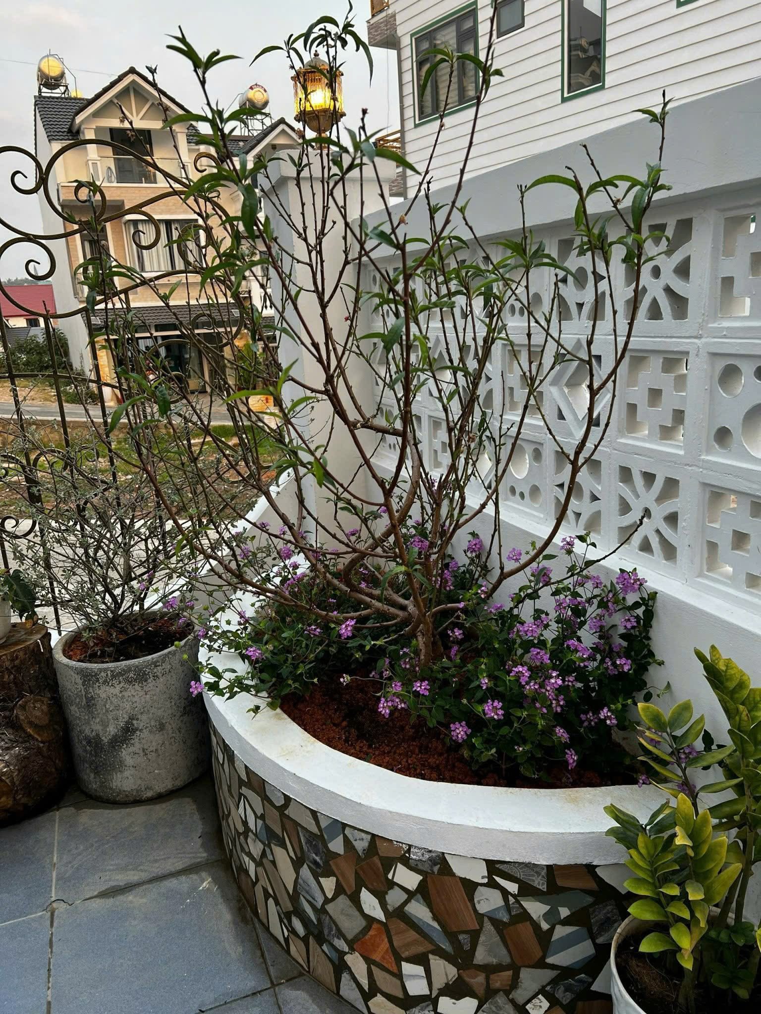 Cần Tiền Bán Gấp Nhà Đẹp Giá Tốt – Đường Nguyễn Đình Quân, P.Cam Ly, Đà Lạt - Ảnh chính